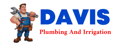 Trusted plumber in VAN